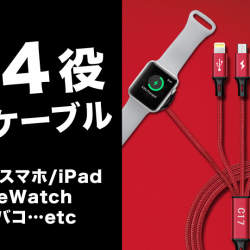 増える充電ケーブルを1つにまとめる「All-In-One Charger Cable C17」が先行発売