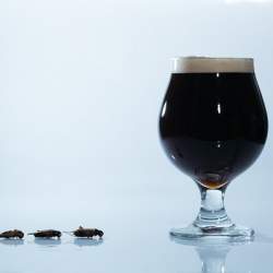 コオロギを原料に使った「コオロギビール」が誕生、クリーミーな口当たりに重厚感ある味わい