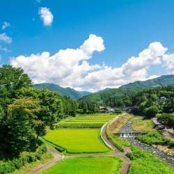 地方移住のメリットは自然、理想と現実のギャップは物価の高さ…若手移住経験者200人に意識調査|三重県調べ