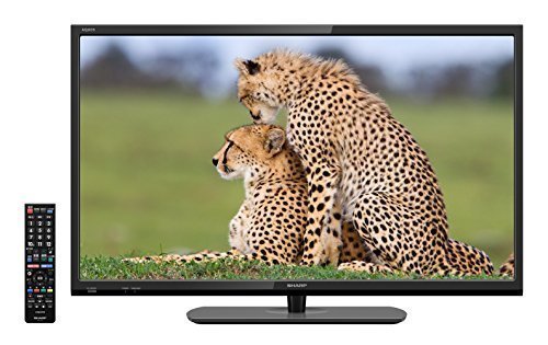 一人暮らしの部屋に適したテレビとは?サイズ別にみるおすすめテレビ7選! 4番目の画像