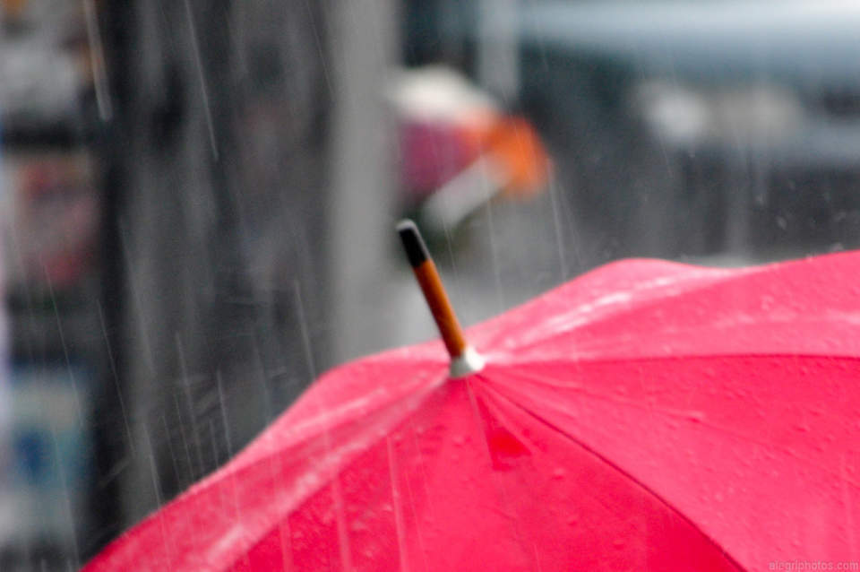 憂鬱な雨の日がちょっと待ち遠しくなる。個性的だけど機能性も忘れない「折りたたみ傘」3選