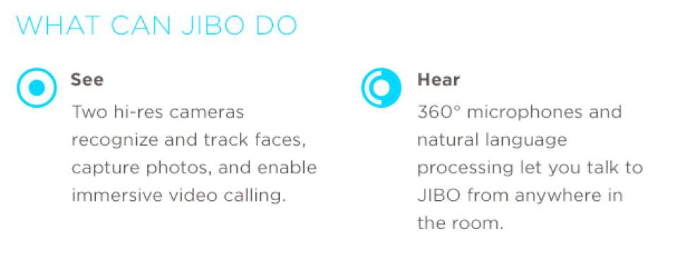 INDIEGOGOで目標額の12倍を調達！高い情緒的能力を持つ世界初の家庭用ロボット「JIBO」 8番目の画像