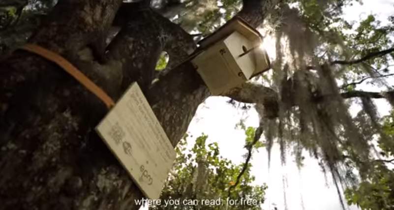 鳥の巣がある木から電子書籍が入手できる！コロンビアの通信会社が仕掛けた「読書率向上」大作戦 4番目の画像