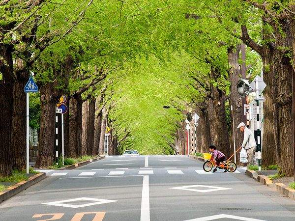 誰もが羨む、東京の高級住宅街を一挙ご紹介！　東京都におけるセレブエリアの条件とは？ 5番目の画像