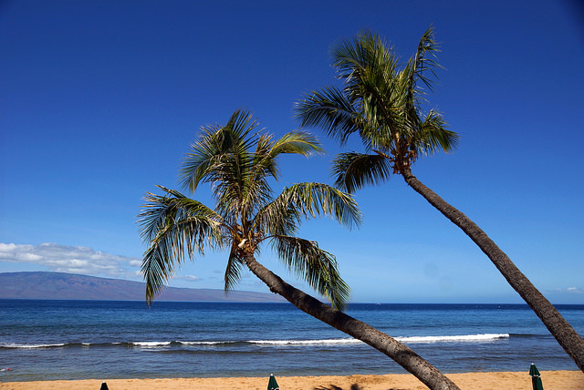 もう全部旅してみたい「世界で最も優れた島ランキング」トップ10：実はハワイもバリも世界一ではない 8番目の画像