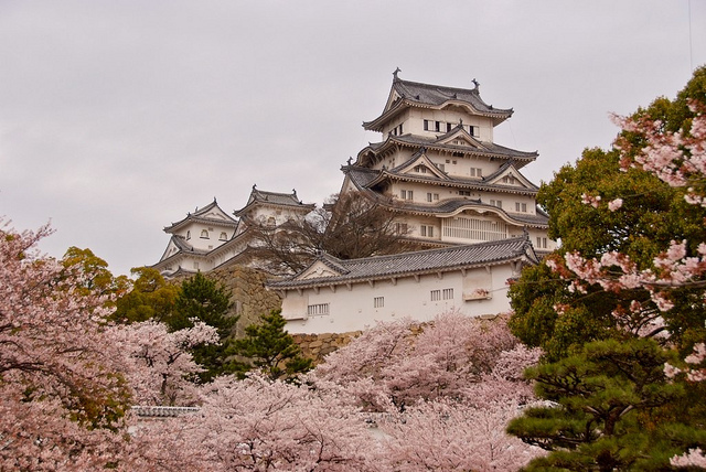 日本が誇る“世界遺産ランキング”：日本人だからこそ訪れたい10の名所 9番目の画像