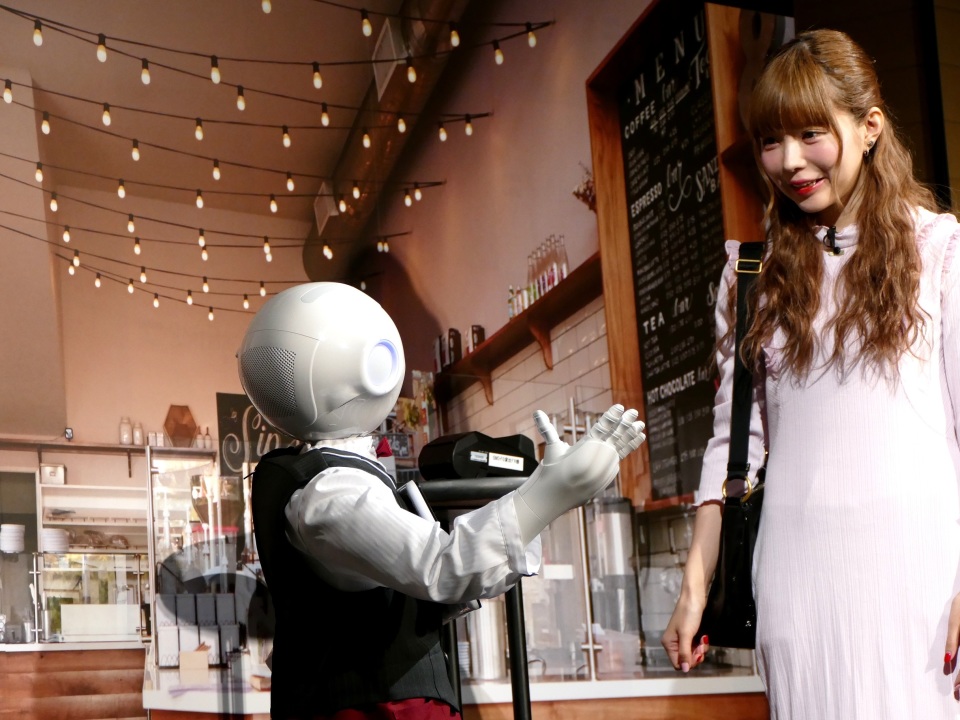 人型ロボットビジネス最前線：ソフトバンクロボティクスが語るペッパー2017年の施策 10番目の画像