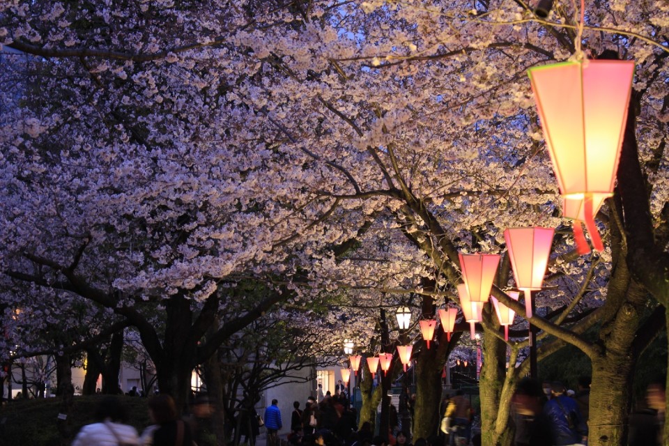 定番でも場所取りしやすい穴場！宴会可能な東京都内の花見スポット6選＆花見の持ち物 3番目の画像