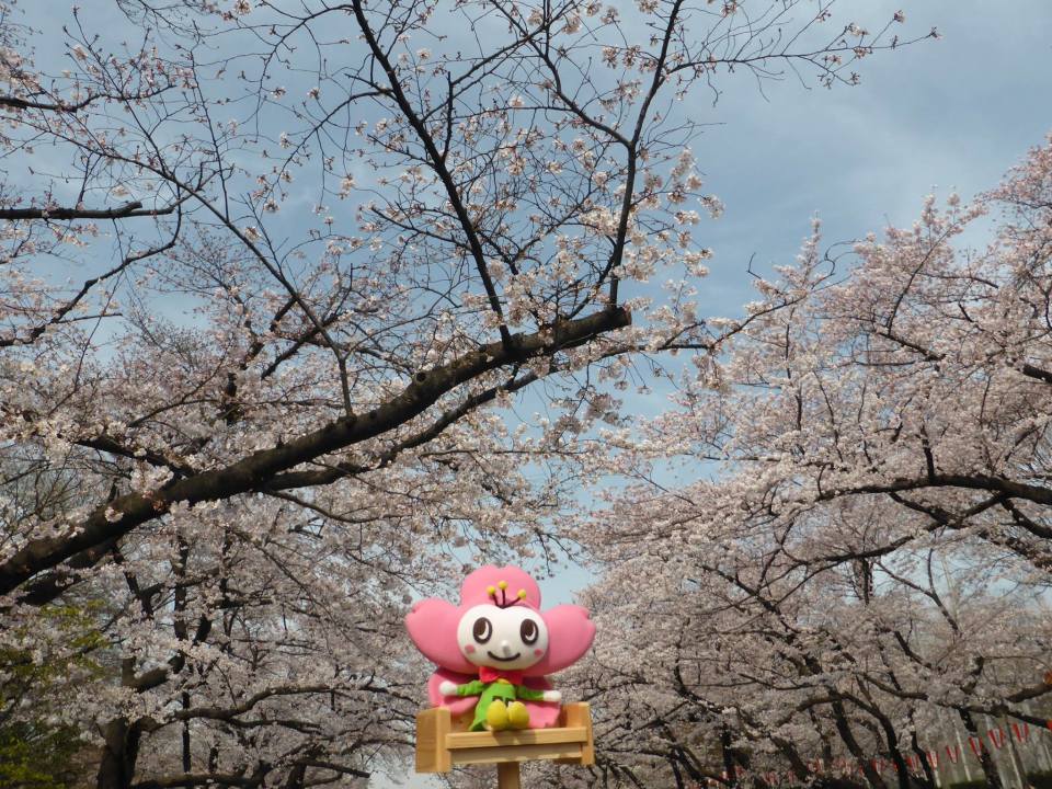 定番でも場所取りしやすい穴場！宴会可能な東京都内の花見スポット6選＆花見の持ち物 4番目の画像