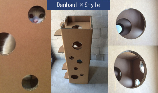 ニャンとも便利な組み立て家具！ 強化ダンボールでできた猫まっしぐらな穴あきベンチ＆スツール 3番目の画像