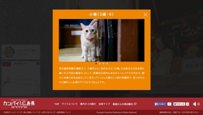 “猫目線”のデジタルマップ「広島Cat Street view」が世界的な広告賞を受賞！ 4番目の画像