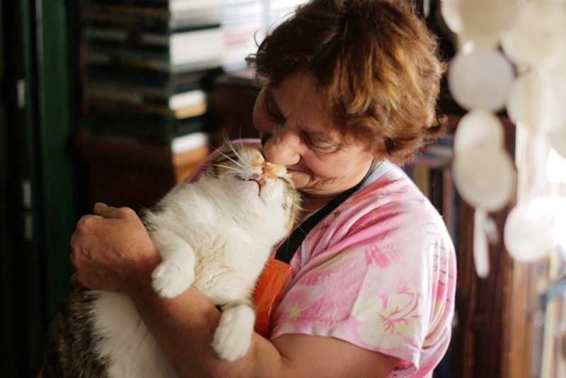 イスタンブールの猫はペットじゃなく野良。究極の猫映画「猫が教えてくれたこと」 6番目の画像