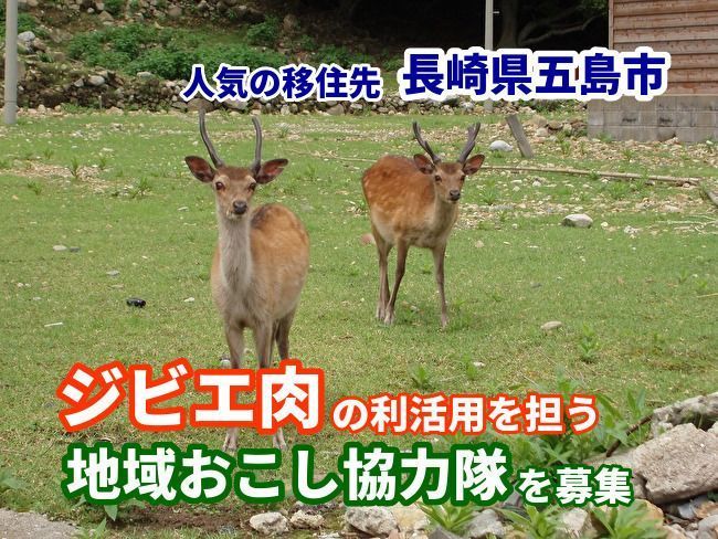 長崎県五島市、ジビエ肉を活用できる「地域おこし協力隊」を募集中。3大都市圏在住の“わな猟免許”保有者が対象 1番目の画像