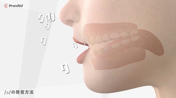 舌の動きまで丸見え！英語の発音方法を3DCGで再現した体験型英語発音教材「ネイティブの口」が登場 4番目の画像