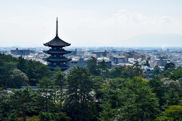 奈良市が企業誘致の新制度をスタート、地域経済の活性化を目指す 1番目の画像
